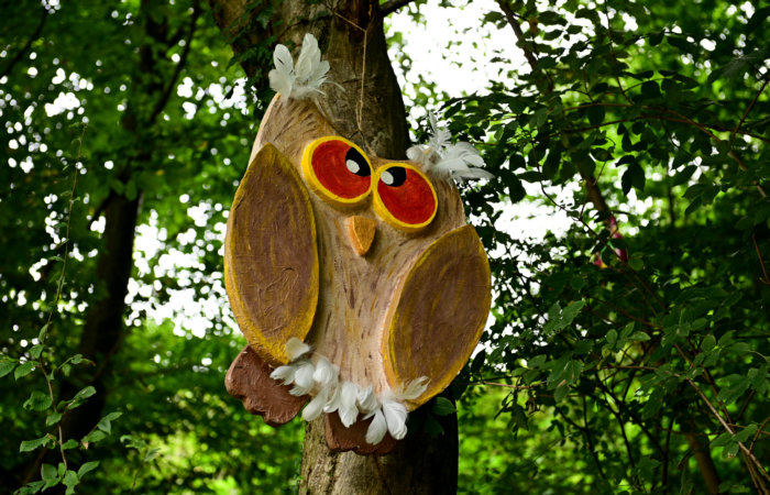 Via dell'Acqua, la Via dei Mulini, il Rujo a Cison di Valmarino