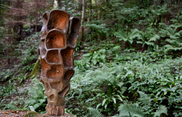 Via dell'Acqua, la Via dei Mulini, il Rujo a Cison di Valmarino