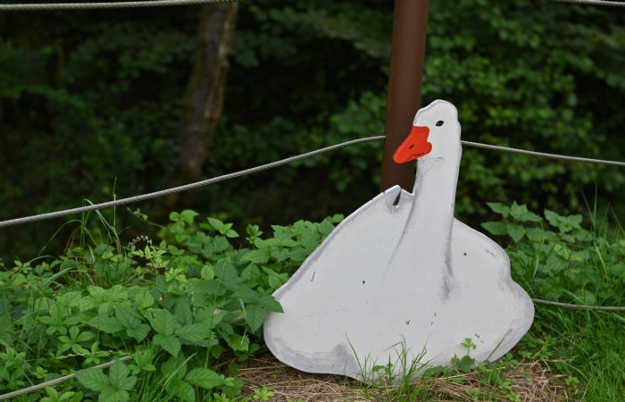 Via dell'Acqua, la Via dei Mulini, il Rujo a Cison di Valmarino