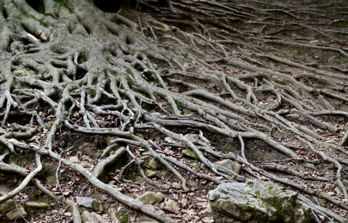 Via dell'Acqua, la Via dei Mulini, il Rujo a Cison di Valmarino