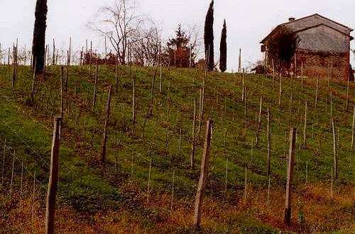 colori d'autunno nei colli Asolani