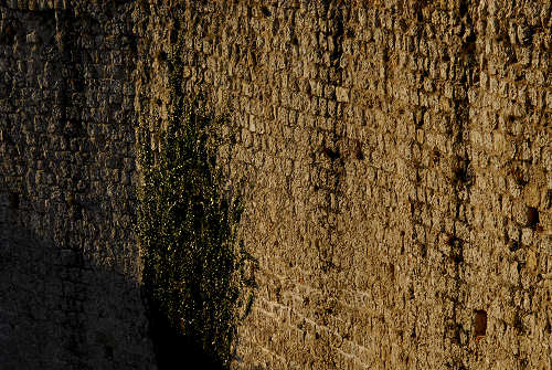 Asolo - Rocca Braida