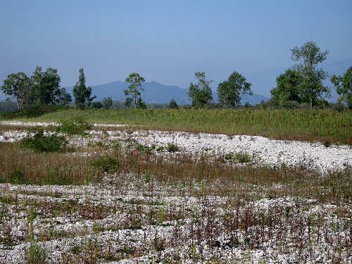 Isola dei Morti - Moriago della Battaglia - Quartier del Piave