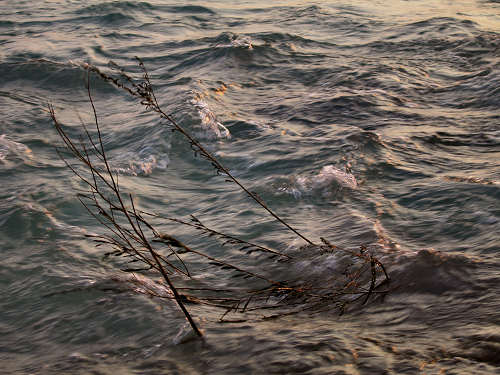 Falzè di Piave - Sernaglia della Battaglia - Quartier del Piave