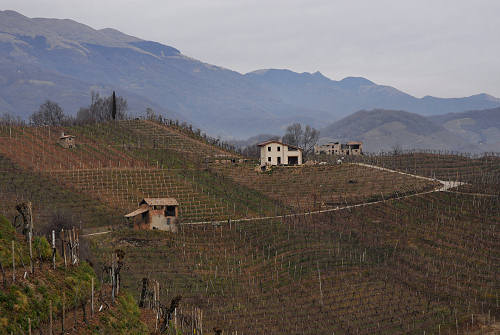 Vidor - Quartier del Piave