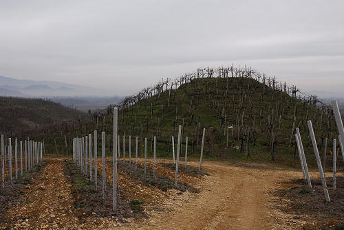 Vidor - Quartier del Piave