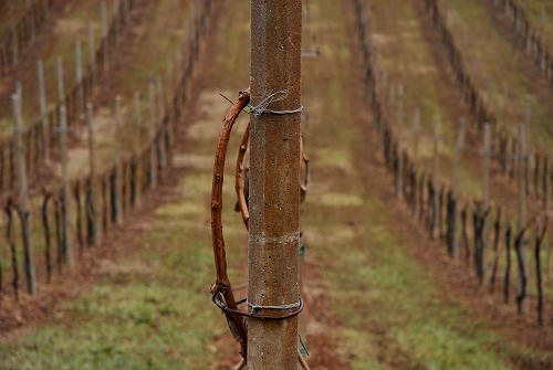 Vidor - Quartier del Piave