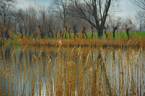 laghi di Revine Lago a Colmaggiore di Tarzo