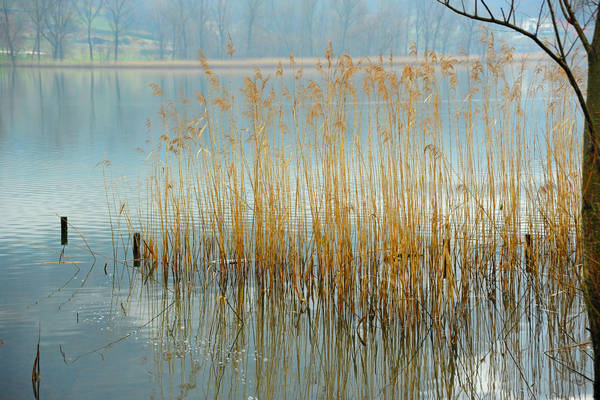 laghi di Revine Lago a Colmaggiore di Tarzo