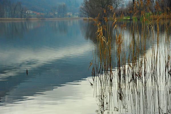 laghi di Revine Lago a Colmaggiore di Tarzo