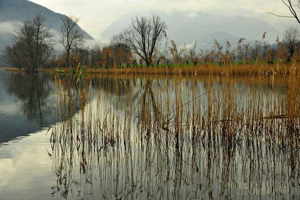 laghi di Revine Lago a Colmaggiore di Tarzo