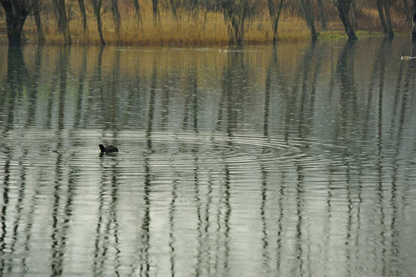 laghi di Revine Lago a Colmaggiore di Tarzo