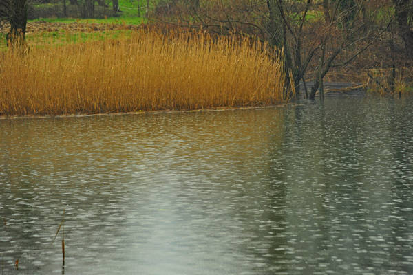 laghi di Revine Lago a Colmaggiore di Tarzo