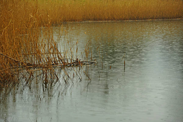 laghi di Revine Lago a Colmaggiore di Tarzo