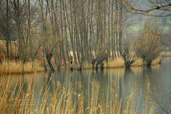 laghi di Revine Lago a Colmaggiore di Tarzo