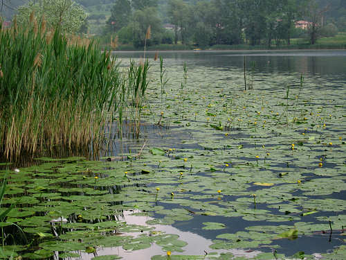 Lago di Santa Maria - Revine, Colmaggiore, Tarzo