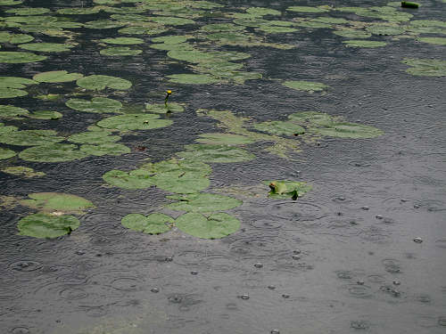 Lago di Santa Maria - Revine, Colmaggiore, Tarzo
