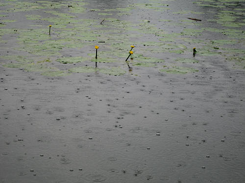 Lago di Santa Maria - Revine, Colmaggiore, Tarzo