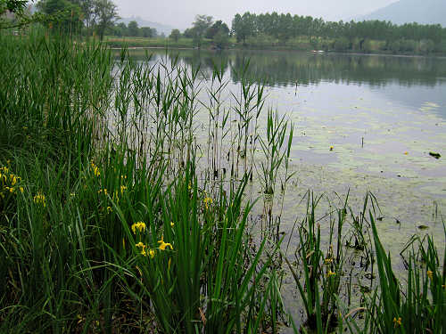 Lago di Santa Maria - Revine, Colmaggiore, Tarzo