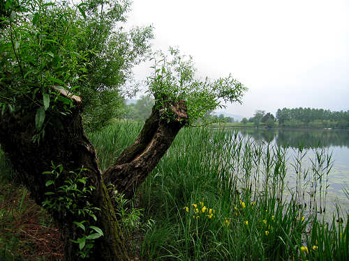 Lago di Santa Maria - Revine, Colmaggiore, Tarzo