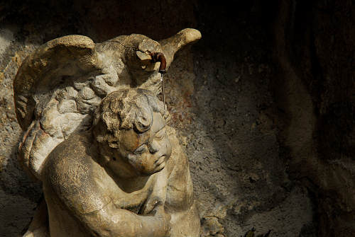 Vittorio Veneto: Castello di San Martino a Ceneda