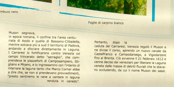 torrente Muson dei Sassi, Musonello, Prai, Parco naturale sul vecchio alveo del Muson