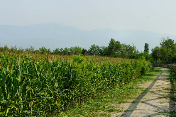 pista ciclabile Sentieri degli Ezzelini