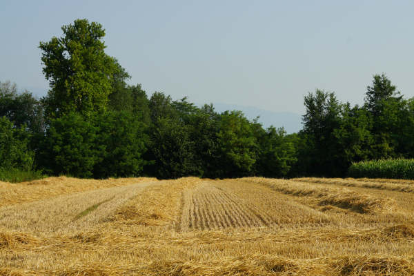 pista ciclabile Sentieri degli Ezzelini
