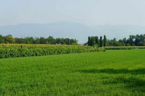 pista ciclabile Sentieri degli Ezzelini
