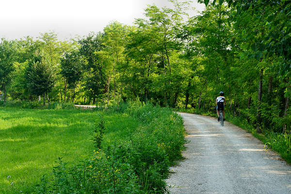 pista ciclabile Sentieri degli Ezzelini