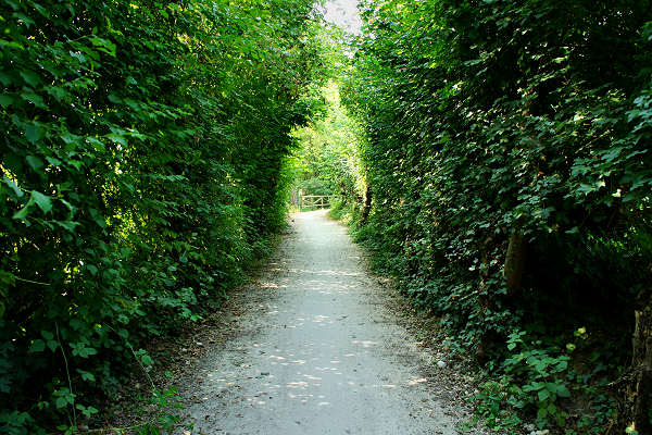 pista ciclabile Sentieri degli Ezzelini