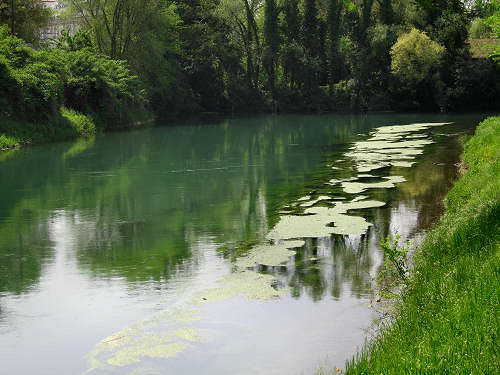 Treviso, Parco Naturale del Fiume Sile, alzaie del Sile
