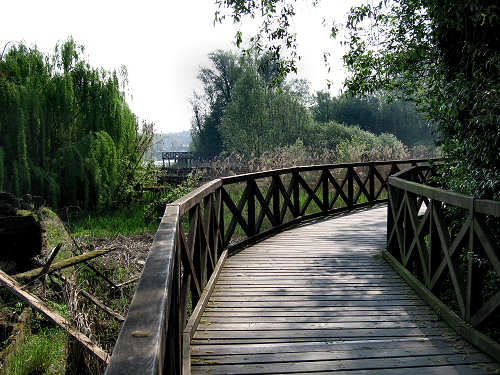 Treviso, Parco Naturale del Fiume Sile, alzaie del Sile