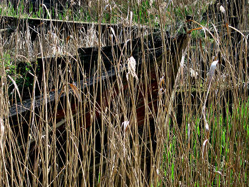 Treviso, Parco Naturale del Fiume Sile, alzaie del Sile