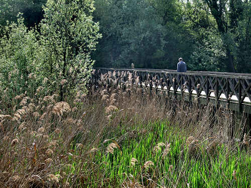 Treviso, Parco Naturale del Fiume Sile, alzaie del Sile