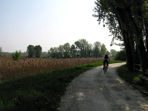 Treviso, Parco Naturale del Fiume Sile, alzaie del Sile