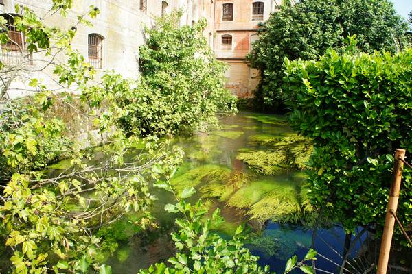 Alzaie del fiume Sile tra Treviso, Silea, Casier e Casale sul Sile