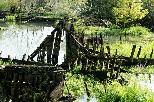 Alzaie del fiume Sile tra Treviso, Silea, Casier e Casale sul Sile