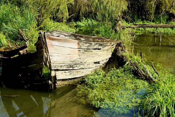 Alzaie del fiume Sile tra Treviso, Silea, Casier e Casale sul Sile