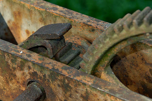 Oasi del Mulino Cervara