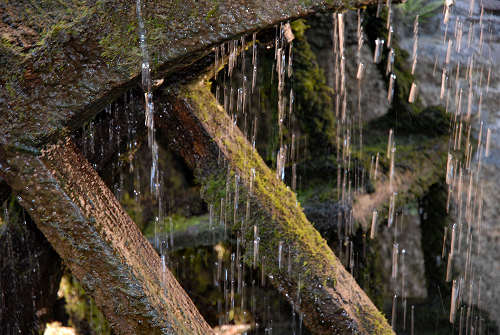 Oasi del Mulino Cervara
