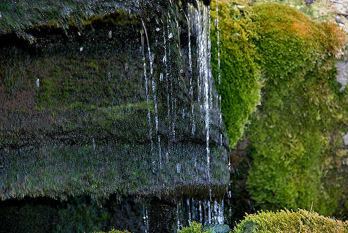 Oasi del Mulino Cervara