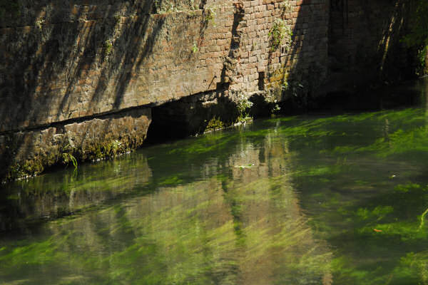 Treviso, acque del Sile e del Cagnan