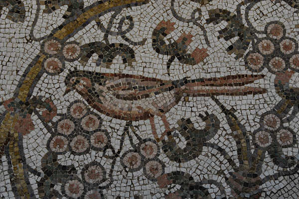 Treviso, centro storico