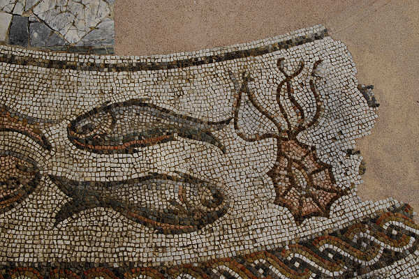 Treviso, centro storico