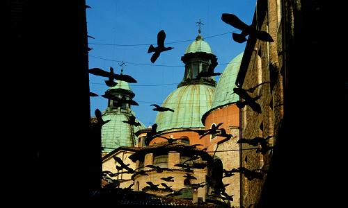 Treviso - centro storico