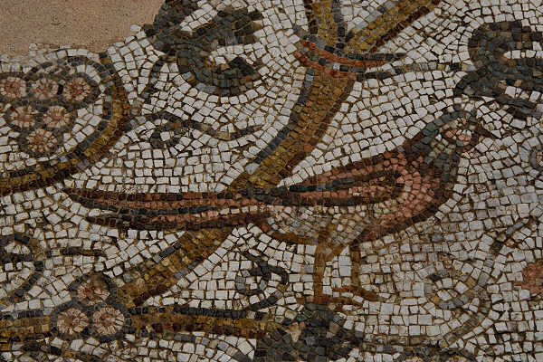 Treviso, centro storico