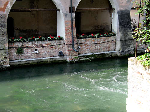 Treviso - fotografie