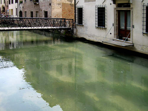 Treviso - fotografie