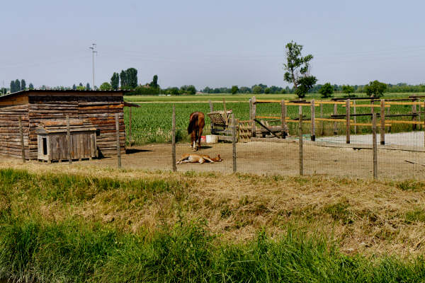 Quarto d'Altino, pista ciclabile fiume Zero, Altino, Trepalade, Sile